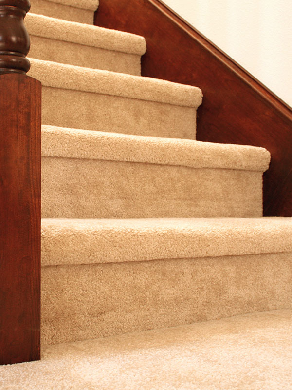carpet, residential, commercial, inside, floor, flooring, living room, bedroom, colors, shag, dense, plush, berber, frieze, stairs, stairway, carpeting, quality, residence, house, home, interior, building, build, materials, outlet, construction, renovation, renovate, new